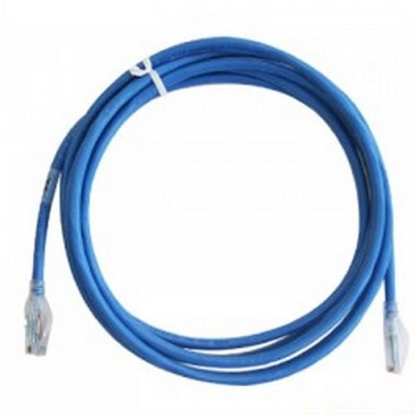 PATCH CORD CATEGORIA 5E 0.3MTS AZUL